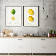 Indlæs billede til gallerivisning citroner | ELLEN ISHAM SCHUTT - decoARTE