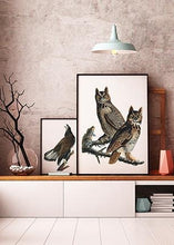 Indlæs billede til gallerivisning amerikansk stor hornugle | JOHN JAMES AUDUBON - decoARTE