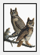 Indlæs billede til gallerivisning amerikansk stor hornugle | JOHN JAMES AUDUBON - decoARTE