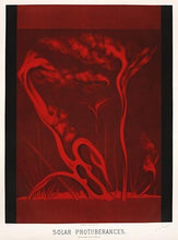 Indlæs billede til gallerivisning solstorm | ETIENNE LEOPOLD TROUVELOT - decoARTE