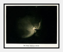 Indlæs billede til gallerivisning oriontågen | ETIENNE LEOPOLD TROUVELOT - decoARTE