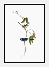 Indlæs billede til gallerivisning båndsmutte | ELIZABETH GOULD - decoARTE