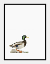 Indlæs billede til gallerivisning andrik  |  BRØDRENE VON WRIGHT - decoARTE