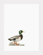 Indlæs billede til gallerivisning andrik  |  BRØDRENE VON WRIGHT - decoARTE