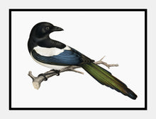 Indlæs billede til gallerivisning skade | BRØDRENE VON WRIGHT - decoARTE