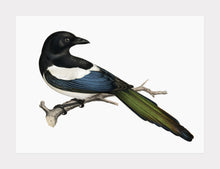 Indlæs billede til gallerivisning skade | BRØDRENE VON WRIGHT - decoARTE