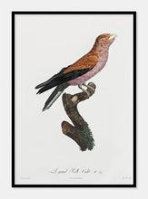 Indlæs billede til gallerivisning ellekrage | JACQUES BARRABAND - decoARTE