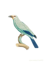 Indlæs billede til gallerivisning grøn ellekrage | JACQUES BARRABAND - decoARTE