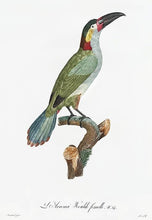 Indlæs billede til gallerivisning aracari | JACQUES BARRABAND - decoARTE