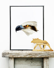 Indlæs billede til gallerivisning hvidhovedet fiskeørn | ELIZABETH GOULD - decoARTE