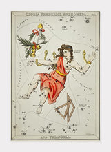 Indlæs billede til gallerivisning stjernebilledet andromeda | SIDNEY HALL - decoARTE