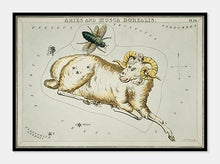 Indlæs billede til gallerivisning stjernebillederne vædderen og fluen, aries og musca | SIDNEY HALL - decoARTE