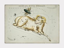 Indlæs billede til gallerivisning stjernebillederne vædderen og fluen, aries og musca | SIDNEY HALL - decoARTE