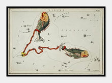 Indlæs billede til gallerivisning stjernetegnet fiskene | SIDNEY HALL - decoARTE