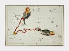 Indlæs billede til gallerivisning stjernetegnet fiskene | SIDNEY HALL - decoARTE