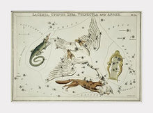 Indlæs billede til gallerivisning stjernebillede lacerta, cygnus, lyra, vulpecula og anser | SIDNEY HALL - decoARTE