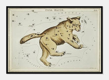 Indlæs billede til gallerivisning stjernebilleet storebjørn | SIDNEY HALL - decoARTE