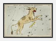 Indlæs billede til gallerivisning stjernebilledet kikkerten | SIDNEY HALL - decoARTE