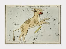 Indlæs billede til gallerivisning stjernebilledet kikkerten | SIDNEY HALL - decoARTE