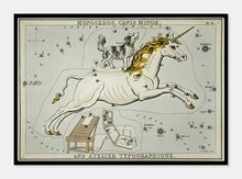 Indlæs billede til gallerivisning stjernebilledet lillehund og enhjørningen | SIDNEY HALL - decoARTE