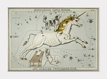 Indlæs billede til gallerivisning stjernebilledet lillehund og enhjørningen | SIDNEY HALL - decoARTE