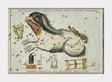 Indlæs billede til gallerivisning stjernebilledet hvalfisken | SIDNEY HALL - decoARTE