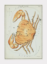 Indlæs billede til gallerivisning stjernebilledet krebsen | SIDNEY HALL - decoARTE