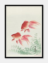 Indlæs billede til gallerivisning guldfisk | OHARA KOSON | DECOARTE - decoARTE