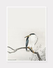 Indlæs billede til gallerivisning kvak | OHARA KOSON | DECOARTE - decoARTE