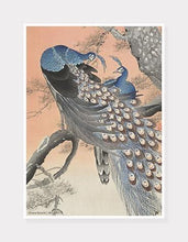 Indlæs billede til gallerivisning påfugle | OHARA KOSON | DECOARTE - decoARTE