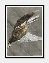 Indlæs billede til gallerivisning ørn | OHARA KOSON | DECOARTE - decoARTE