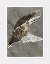 Indlæs billede til gallerivisning ørn | OHARA KOSON | DECOARTE - decoARTE