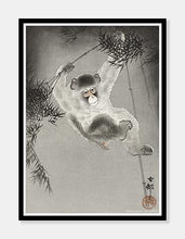 Indlæs billede til gallerivisning abe | OHARA KOSON | DECOARTE - decoARTE