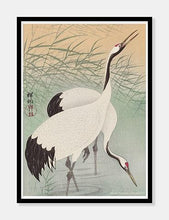 Indlæs billede til gallerivisning hejrer | OHARA KOSON | DECOARTE - decoARTE