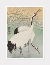 Indlæs billede til gallerivisning hejrer | OHARA KOSON | DECOARTE - decoARTE