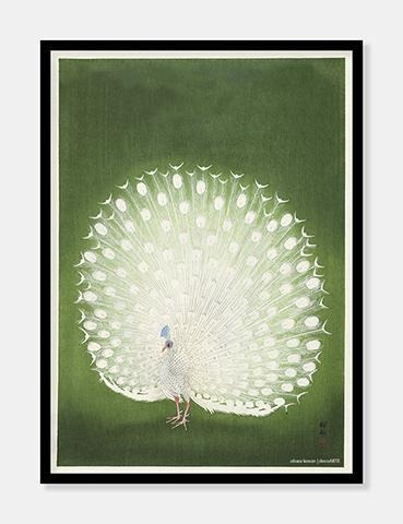 gnier Lyrical Annoncør Fin plakat med japansk kunst med påfugl af Ohara Koson | decoARTE