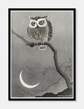 Indlæs billede til gallerivisning ugle | OHARA KOSON | DECOARTE - decoARTE