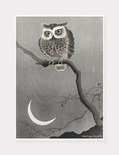 Indlæs billede til gallerivisning ugle | OHARA KOSON | DECOARTE - decoARTE