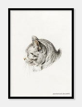 Indlæs billede til gallerivisning kat | JEAN BERNARD | DECOARTE - decoARTE