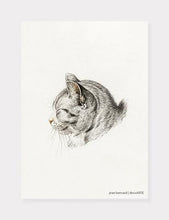 Indlæs billede til gallerivisning kat | JEAN BERNARD | DECOARTE - decoARTE
