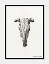 Indlæs billede til gallerivisning dyrekranie | JEAN BERNARD | DECOARTE - decoARTE