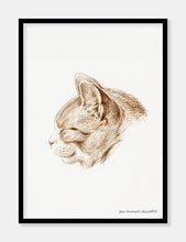 Indlæs billede til gallerivisning kat | JEAN BERNARD | DECOARTE - decoARTE