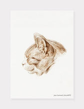Indlæs billede til gallerivisning kat | JEAN BERNARD | DECOARTE - decoARTE