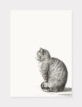 Indlæs billede til gallerivisning kat | JEAN BERNARD | DECOARTE - decoARTE