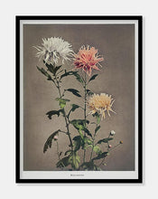 Indlæs billede til gallerivisning kin–sui–ro | OGAWA KAZUMASA - decoARTE