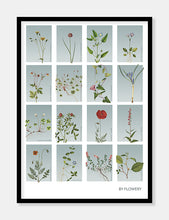 Indlæs billede til gallerivisning samleplakat med 16 blomster | BLÅTONE | FLORA BY FLOWERY - decoARTE