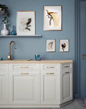 Indlæs billede til gallerivisning kejserparadisfugl | JACQUES BARRABAND - decoARTE