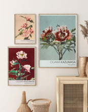 Indlæs billede til gallerivisning pæon | OGAWA KAZUMASA - decoARTE