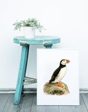 Indlæs billede til gallerivisning søpapegøje | BRØDRENE VON WRIGHT - decoARTE