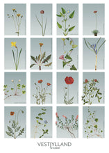 Indlæs billede til gallerivisning vestjylland | STEDSPLAKAT | FLORA BY FLOWERY - decoARTE